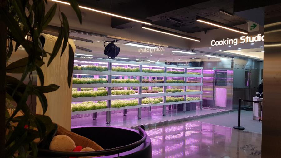 Smart farms sprouting in Seoul metro stations