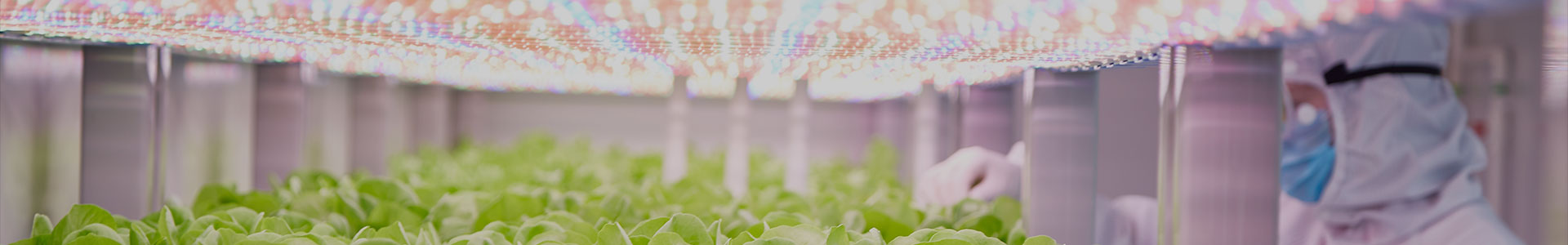 Simple Solutions for Complex Vertical Farming