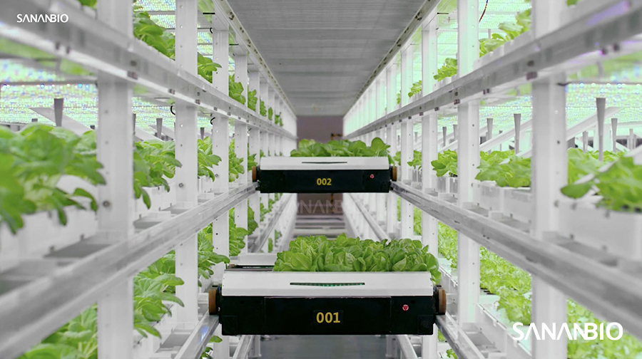 SANANBIO UPLIFT, the Unmanned Vertical Farming System